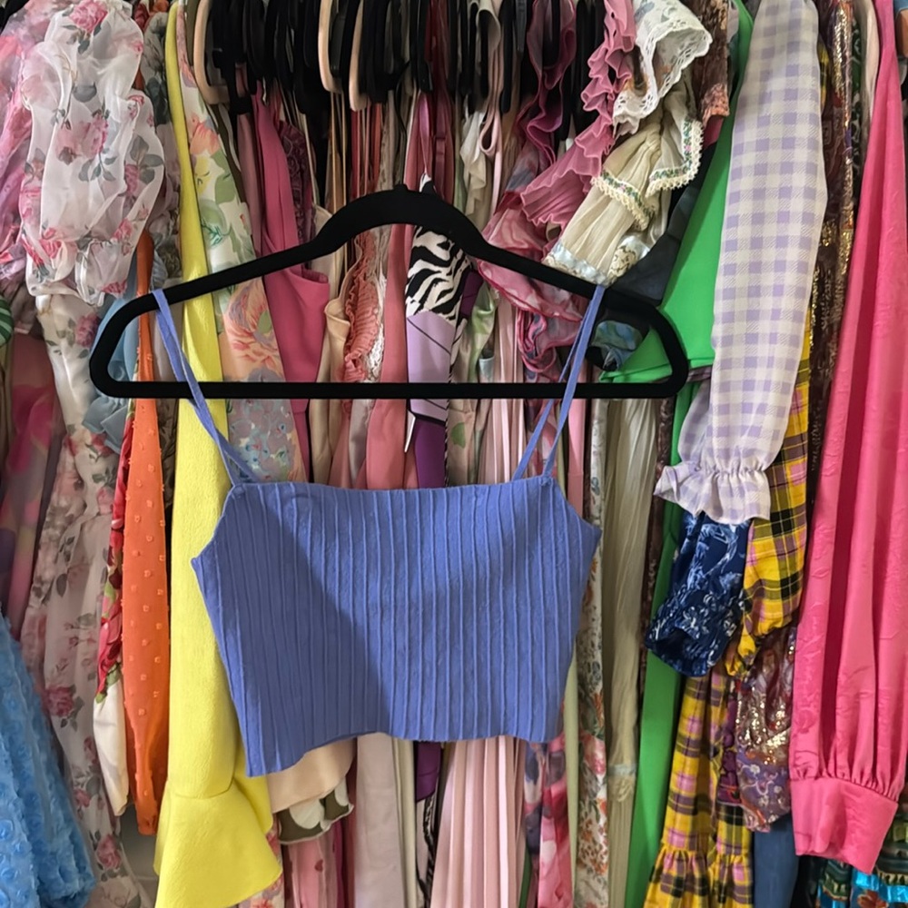 Perrywinkle blue crop top